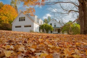 Leaves on the Lawn - The Morty Blog - Seven Home Maintenance Tasks for Autumn