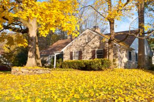 The Morty Blog - Seven Home Maintenance Tasks for Autumn