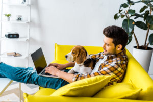 A man uses his computer on the couch while his beagle sits on his lap
